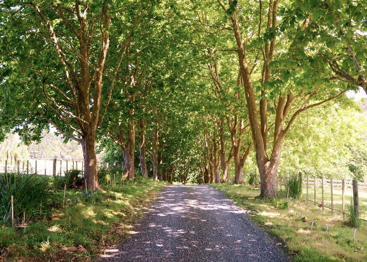 Quail Lodge Nz Snells Beach Экстерьер фото
