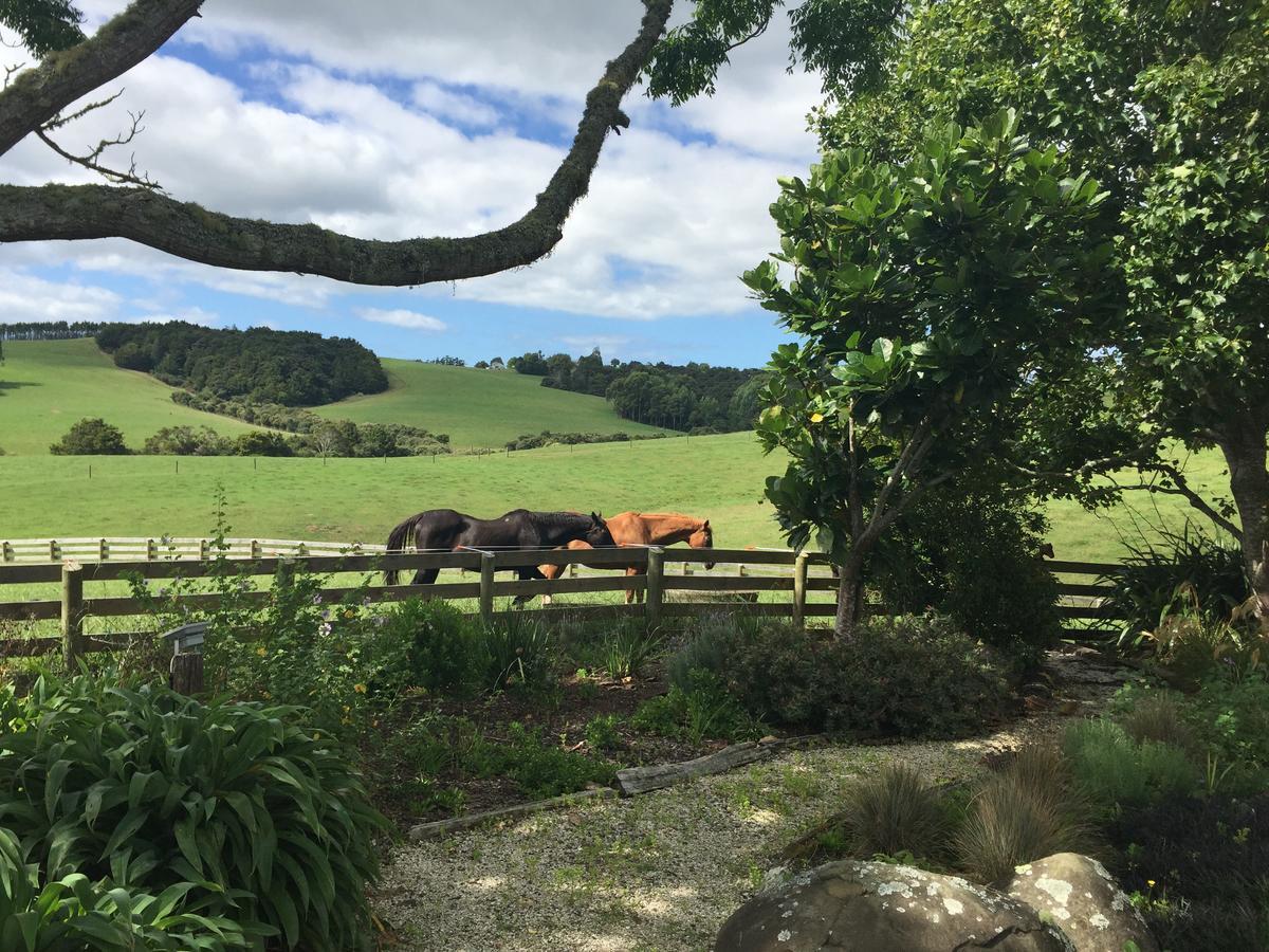 Quail Lodge Nz Snells Beach Экстерьер фото